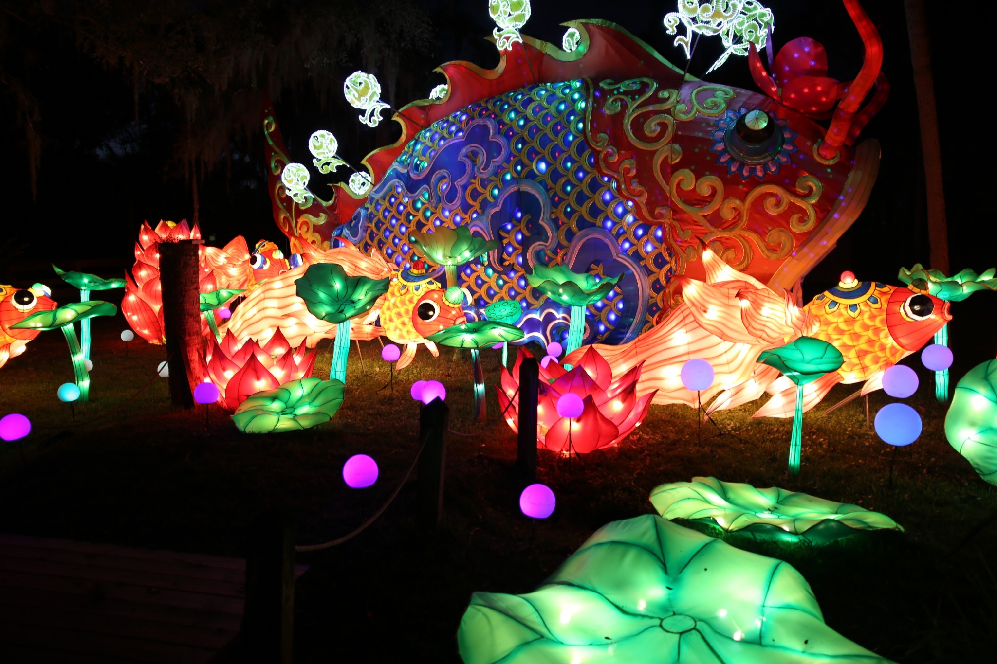 Asian Lantern Festival illuminates Central Florida - Asia Trend