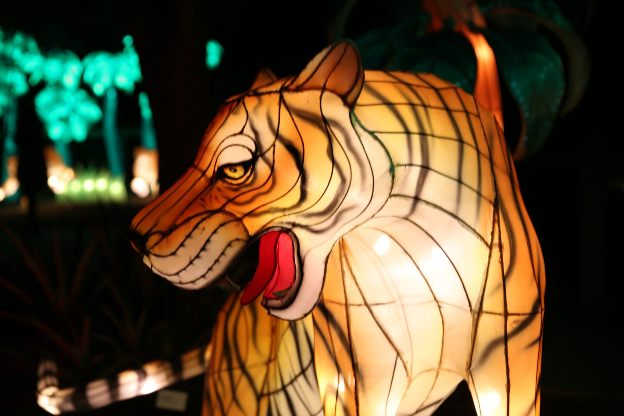 Asian Lantern Festival illuminates Central Florida Asia Trend