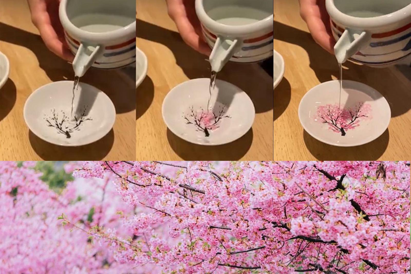 BNIB Black Cherry Blossom Design Porcelain Sake Set Bottle & Four Cups 