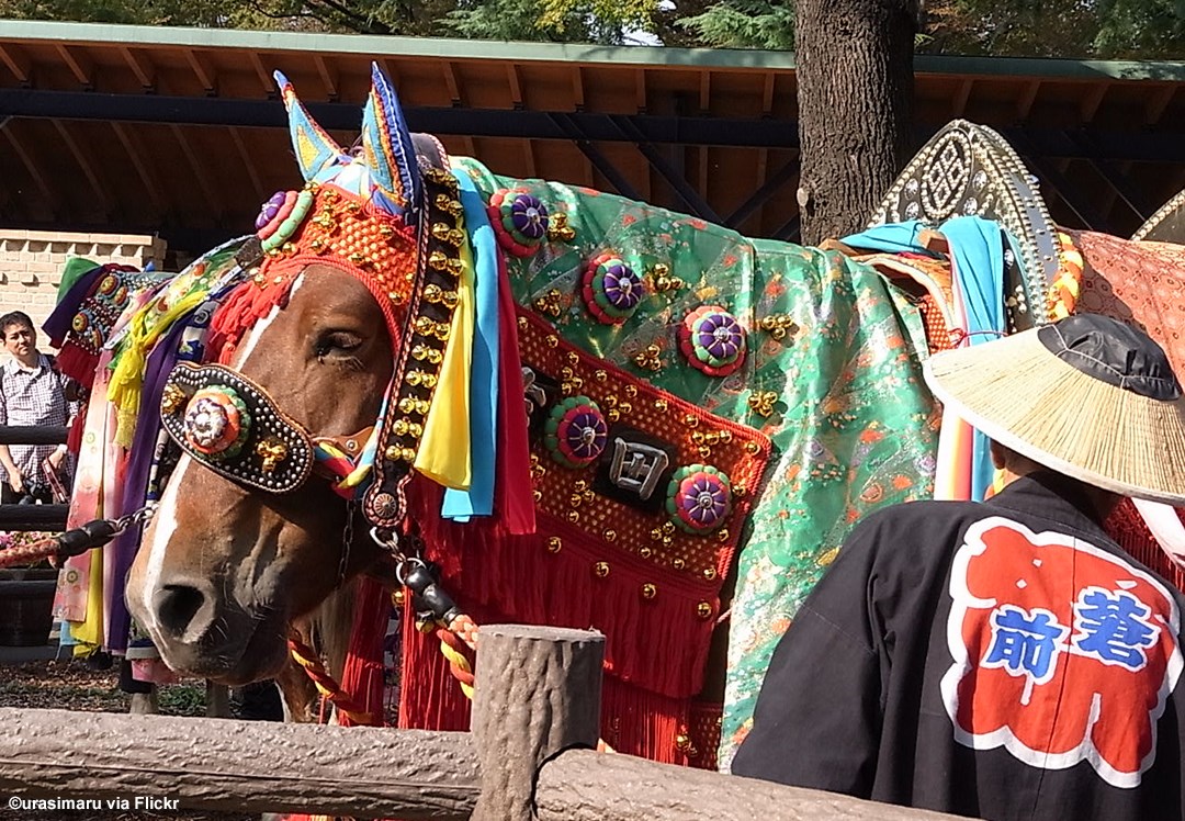 Chagu Chagu Umakko Festival