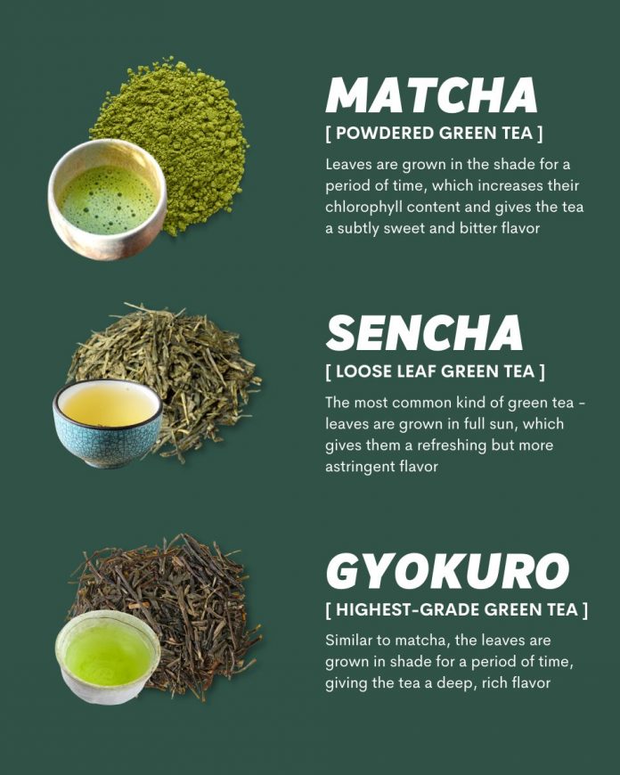 Everything You Need To Know About Japanese Green Tea! Asia Trend