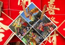 Your Guide to Lunar New Year 2026 Celebrations in Florida Lunar New Year