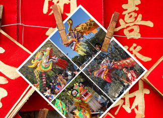 Your Guide to Lunar New Year 2026 Celebrations in Florida Lunar New Year
