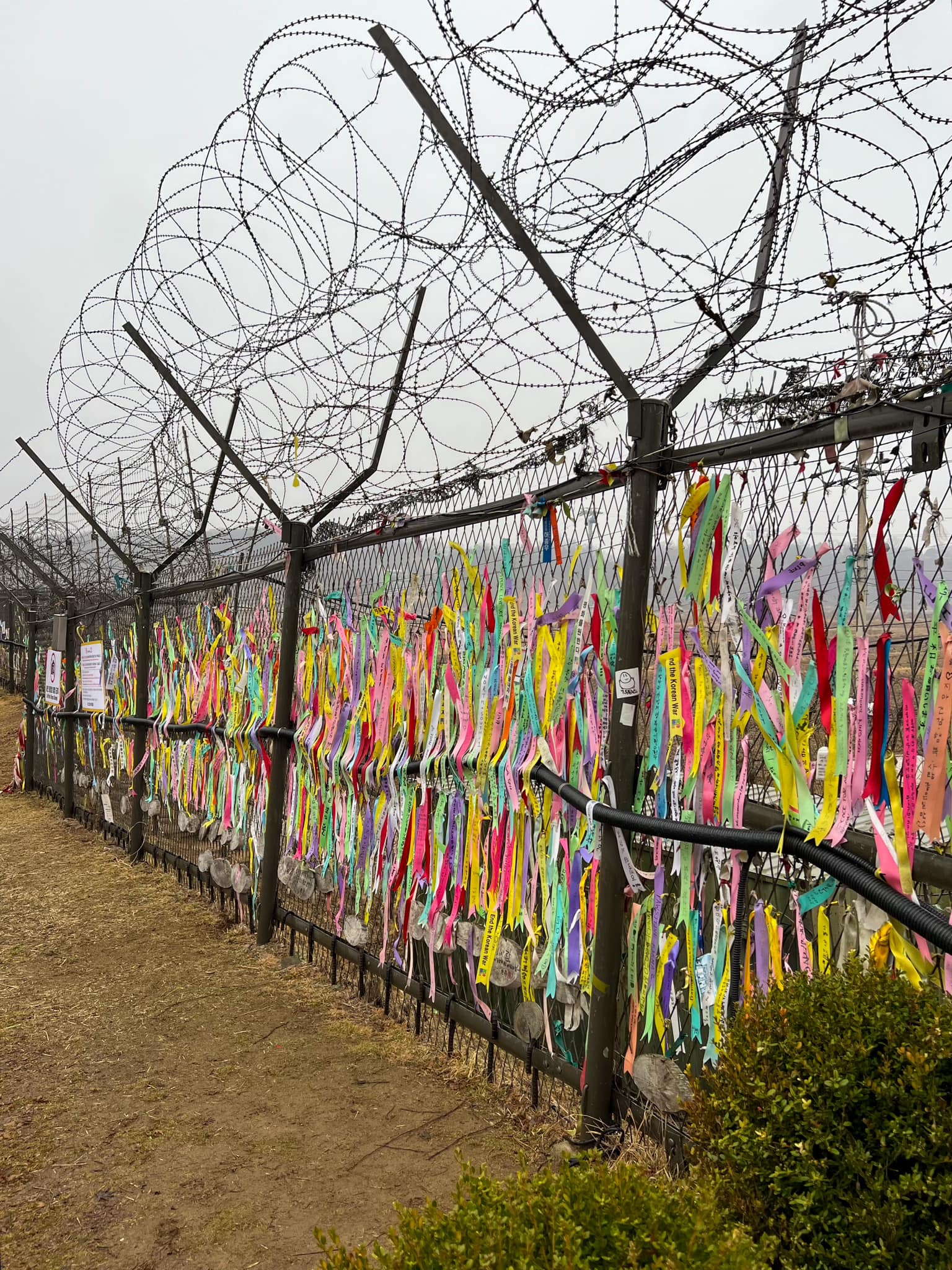 Korea Demilitarized Zone (DMZ)
