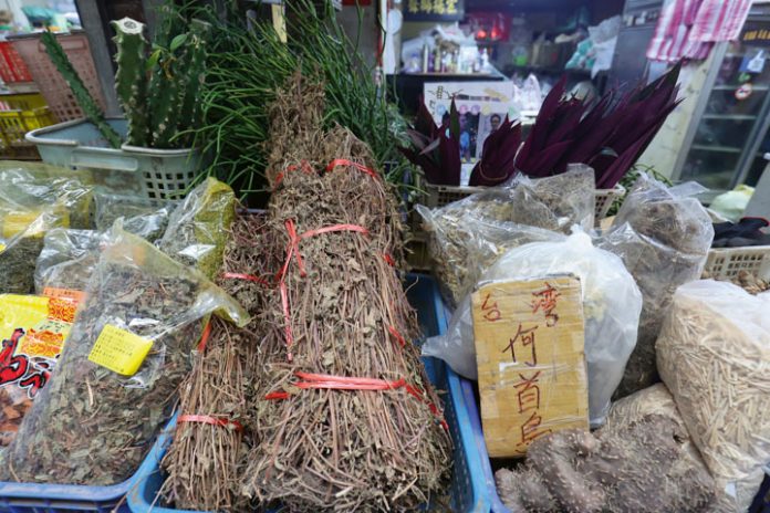 Herb shops sell both fresh and dried herbs.