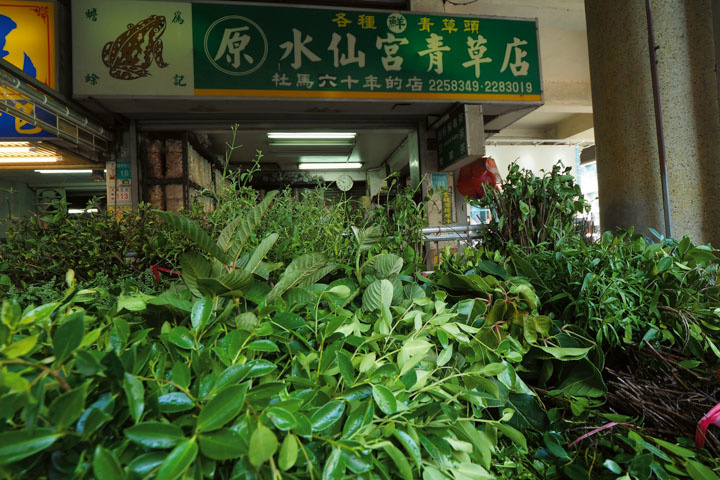 Herb shops sell both fresh and dried herbs.
