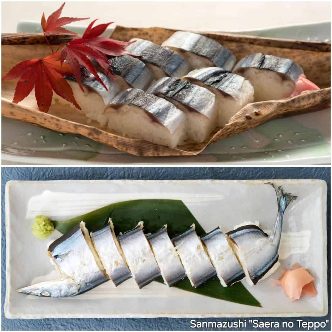 Japanese Long Fish Savoring the Season: Why Sanma is the Star of Autumn in Japanese ...