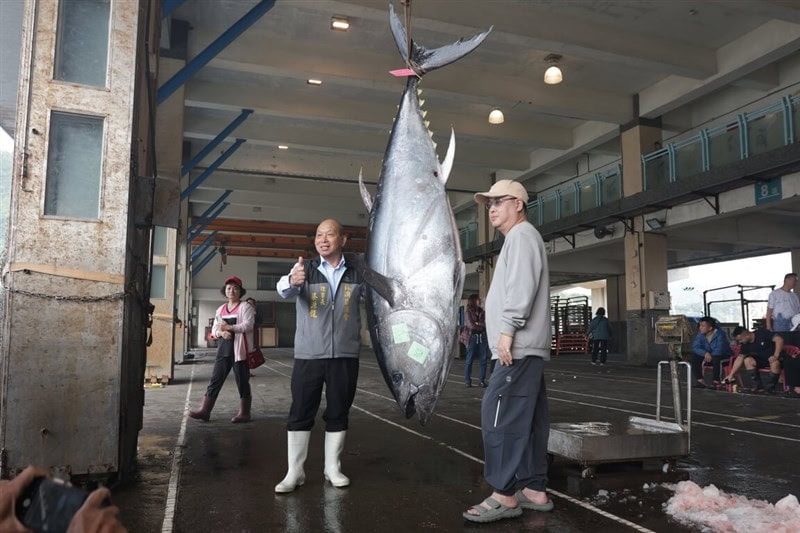 tuna