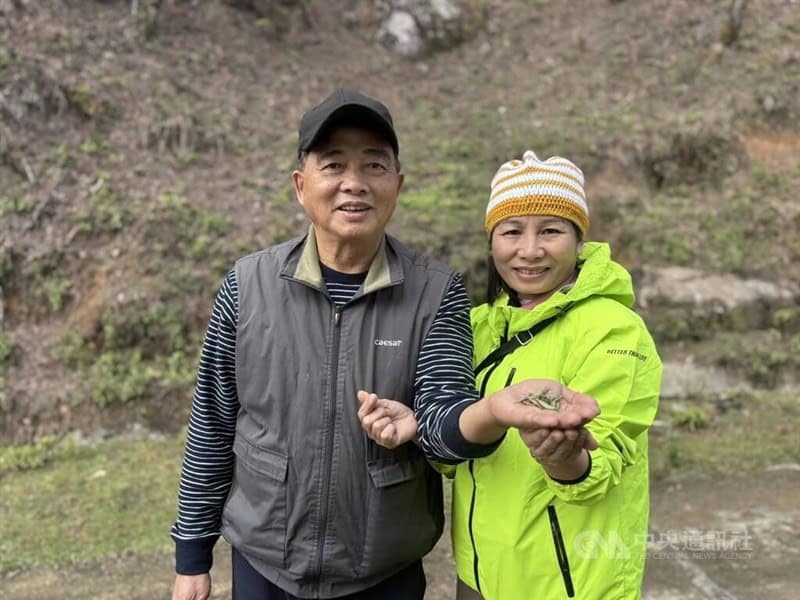 Taiwanese tea maker Hsu Kuo-an