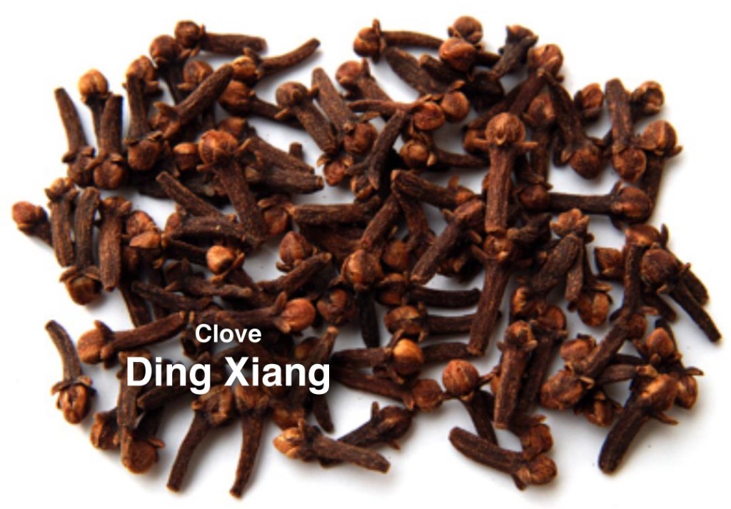 Clove Ding Xiang