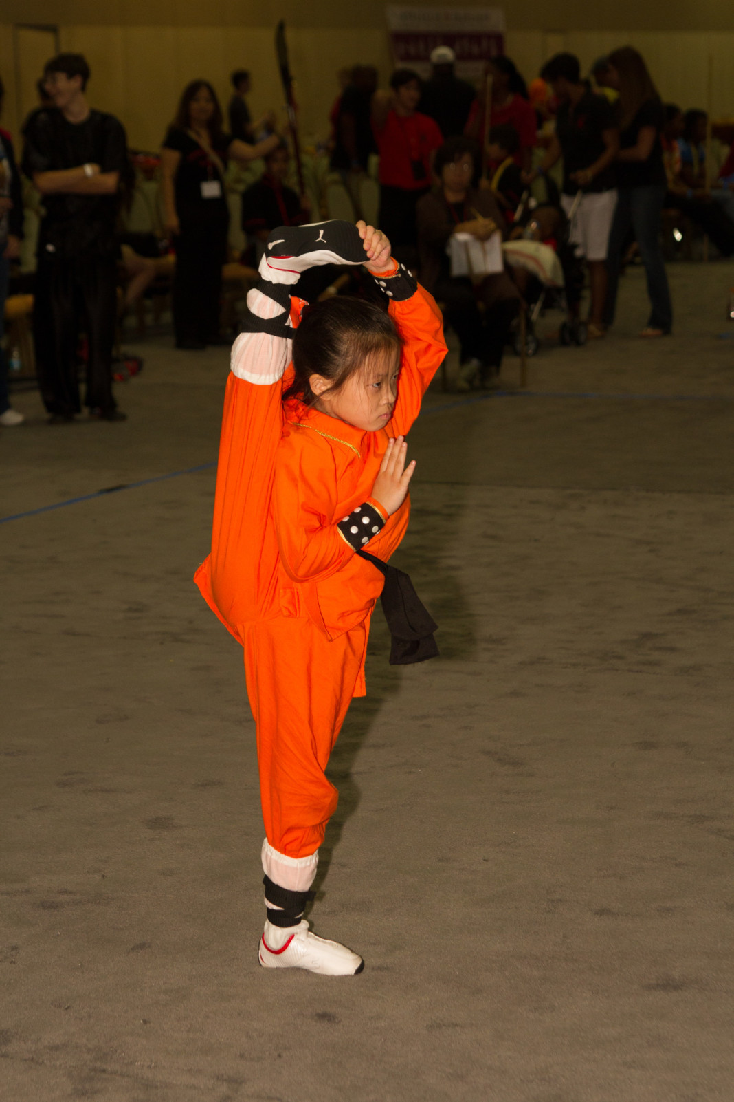 CALLING ALL CENTRAL FLORIDA MARTIAL ARTISTS You are cordially