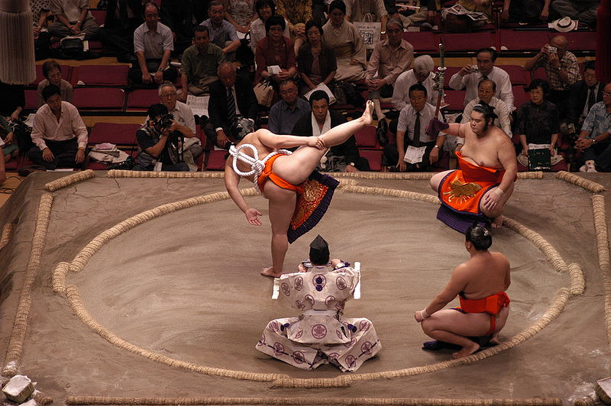 Yokozuna спорт