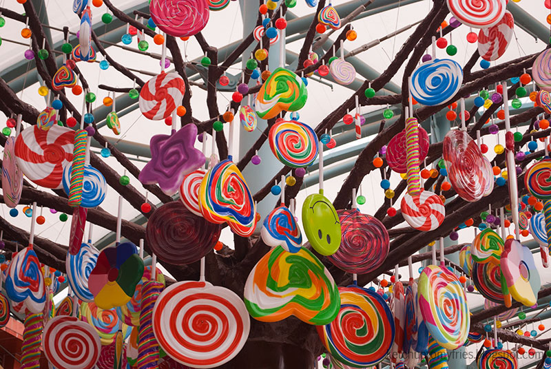 8 ELEPHANTS & THE CANDY TREE - Asia Trend