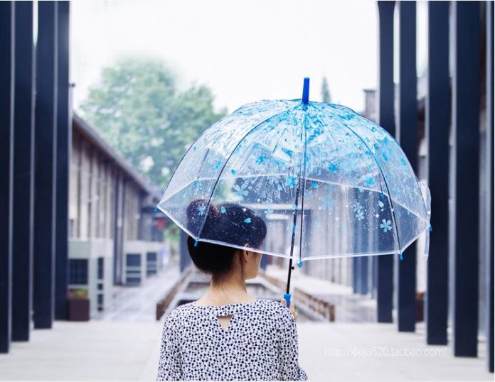 Sakura umbrella