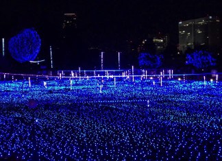 CHRISTMAS illumination in Tokyo Midtown Starlight Garden CHRISTMAS illumination in Tokyo Midtown Starlight Garden