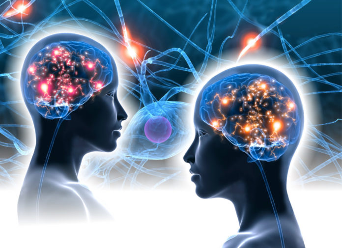 prism-brain-mapping-brains-image